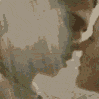 104080.gif