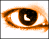 196705.gif