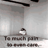 203541.gif