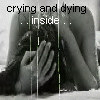 pic.gif